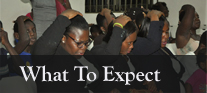 what to expect2